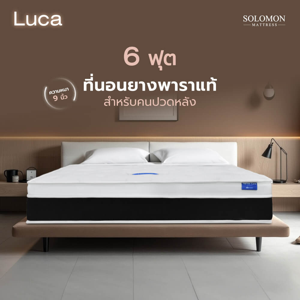 ที่นอน 6 ฟุต SOLOMON รุ่น LUCA หนา 9 นิ้ว_8