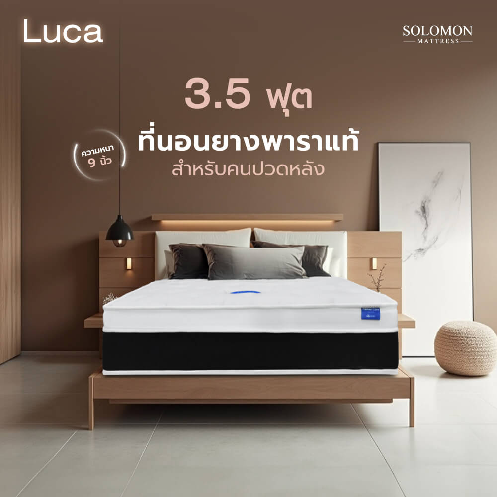 ที่นอน 3.5 ฟุต SOLOMON รุ่น LUCA หนา 9 นิ้ว_8