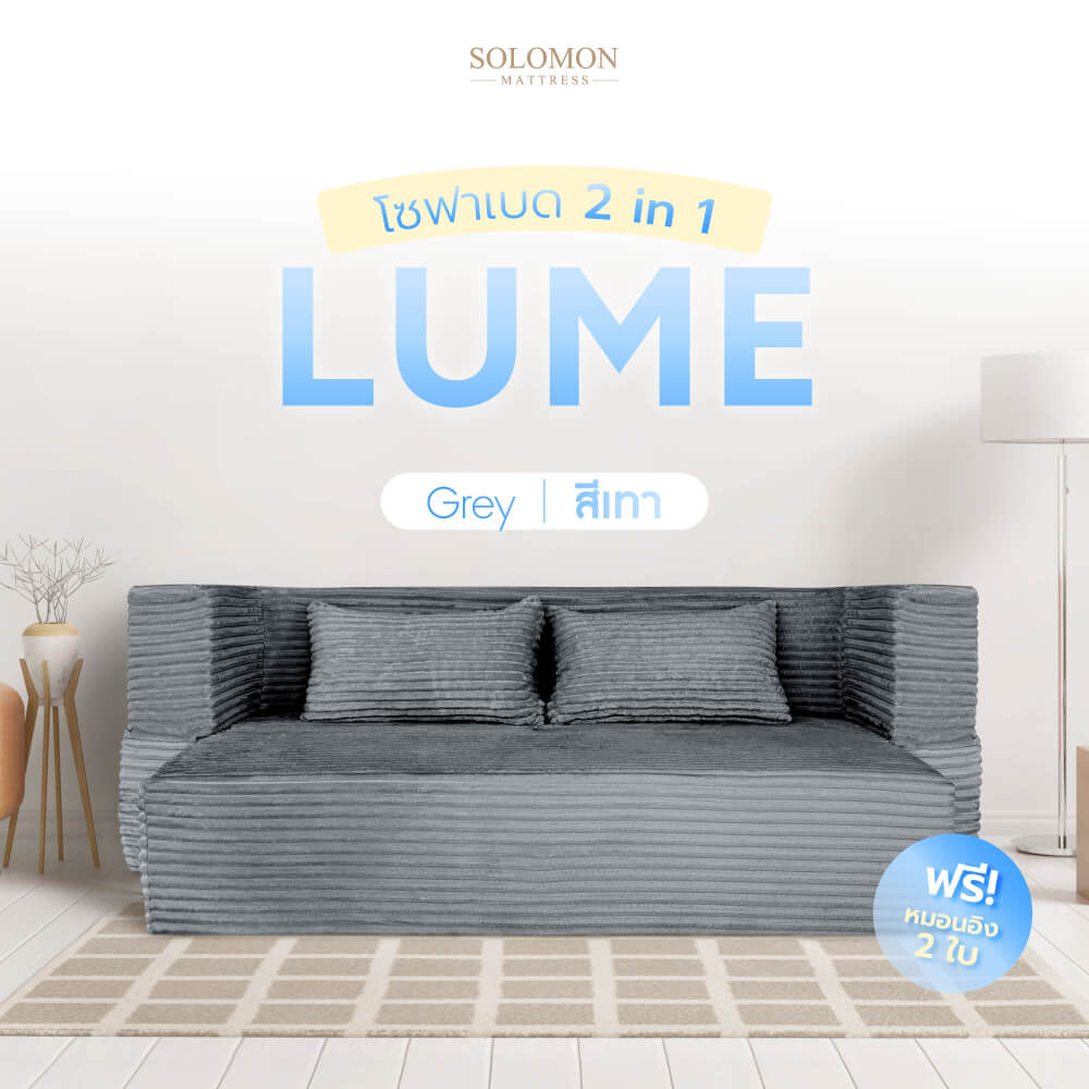 โซฟาเบด SOLOMON รุ่น LUME สีเทา จัดส่งแบบอัดสุญญากาศ_11