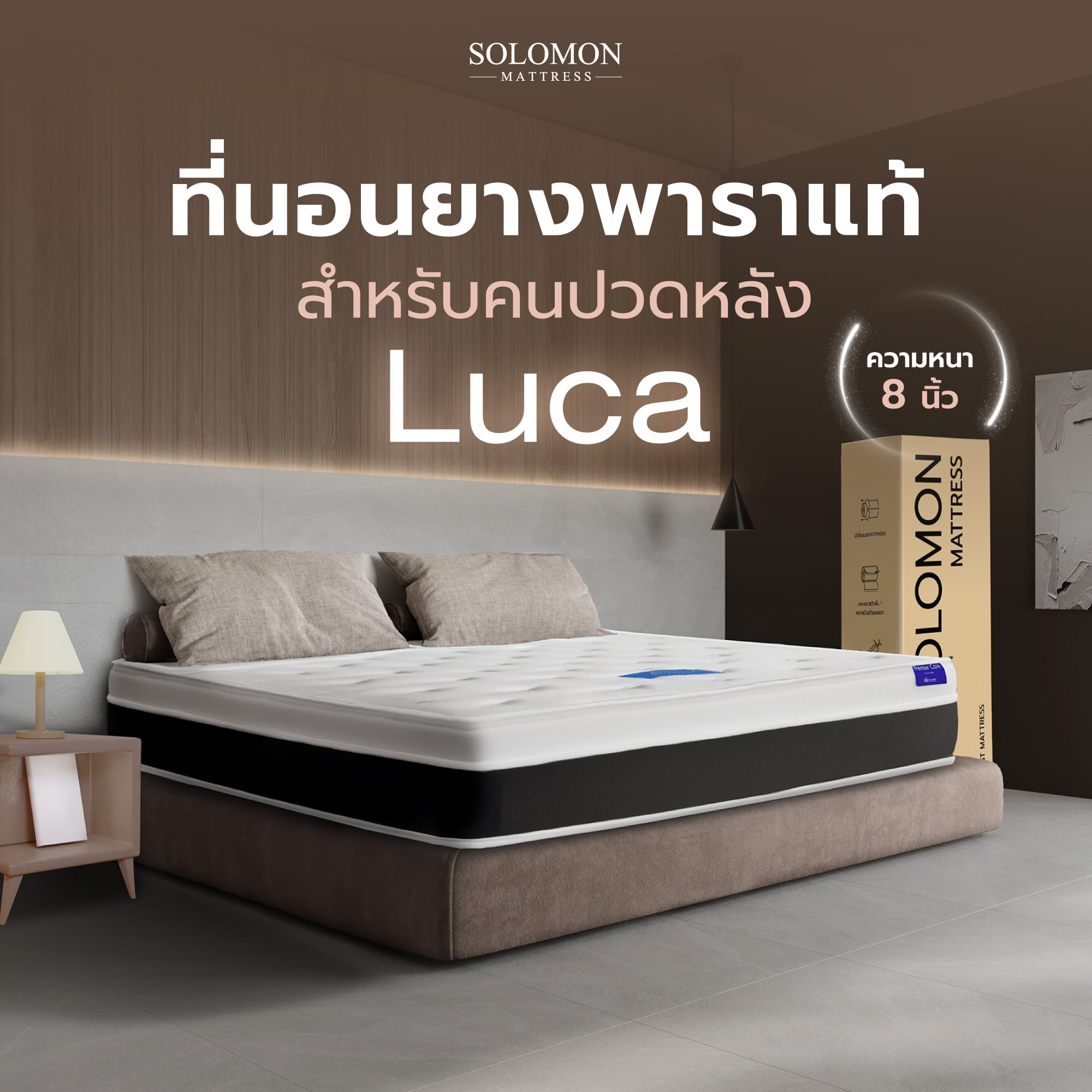ที่นอน 5 ฟุต SOLOMON รุ่น LUCA หนา 8 นิ้ว_1