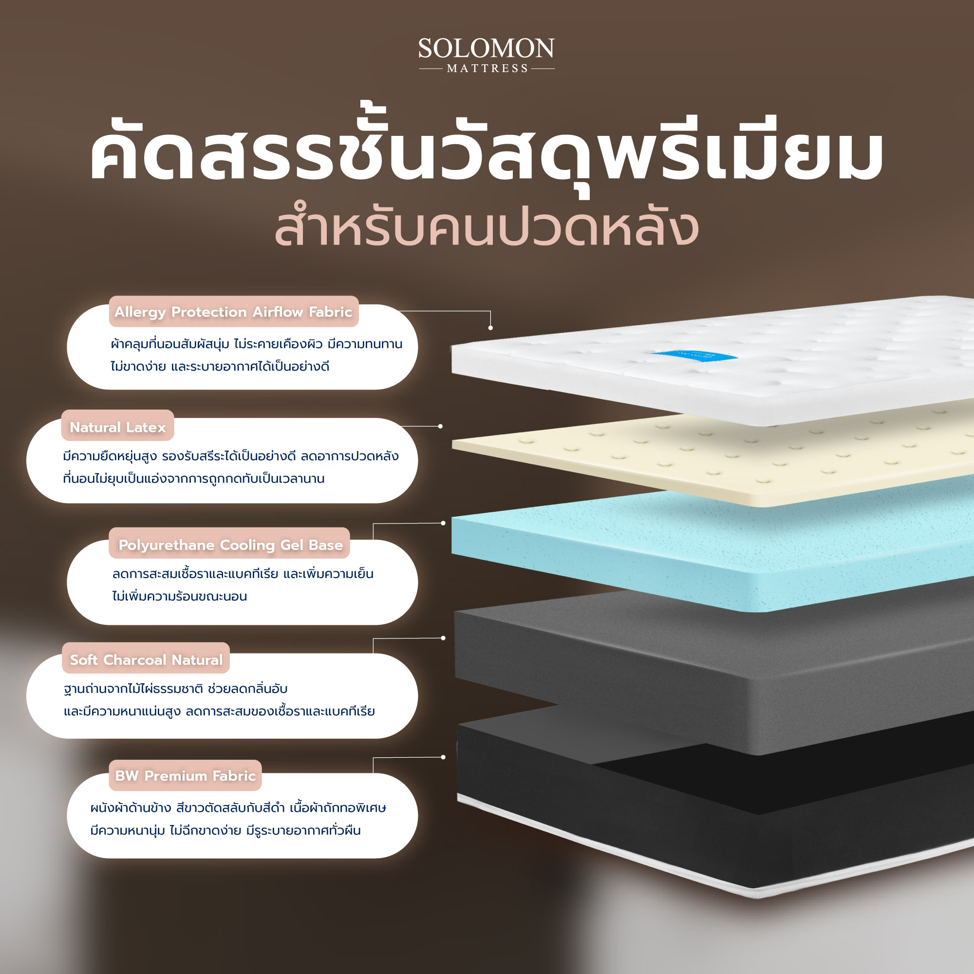 ที่นอน 5 ฟุต SOLOMON รุ่น LUCA หนา 9 นิ้ว_2