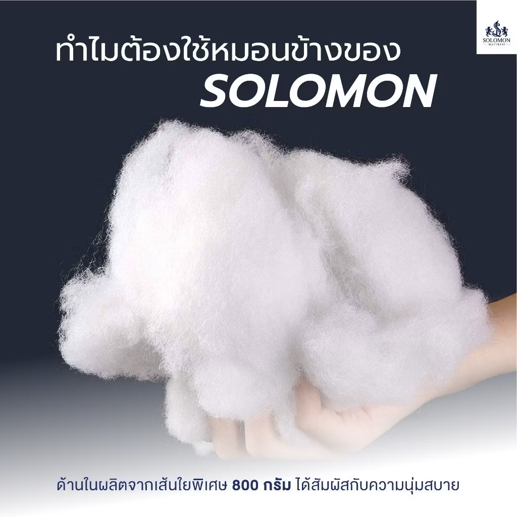 หมอนข้าง SOLOMON ขนาด 20x102 ซม._5