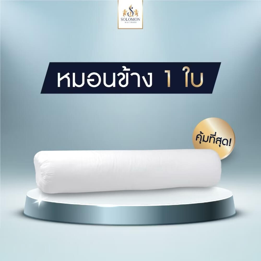 หมอนข้าง SOLOMON ขนาด 20x102 ซม._1