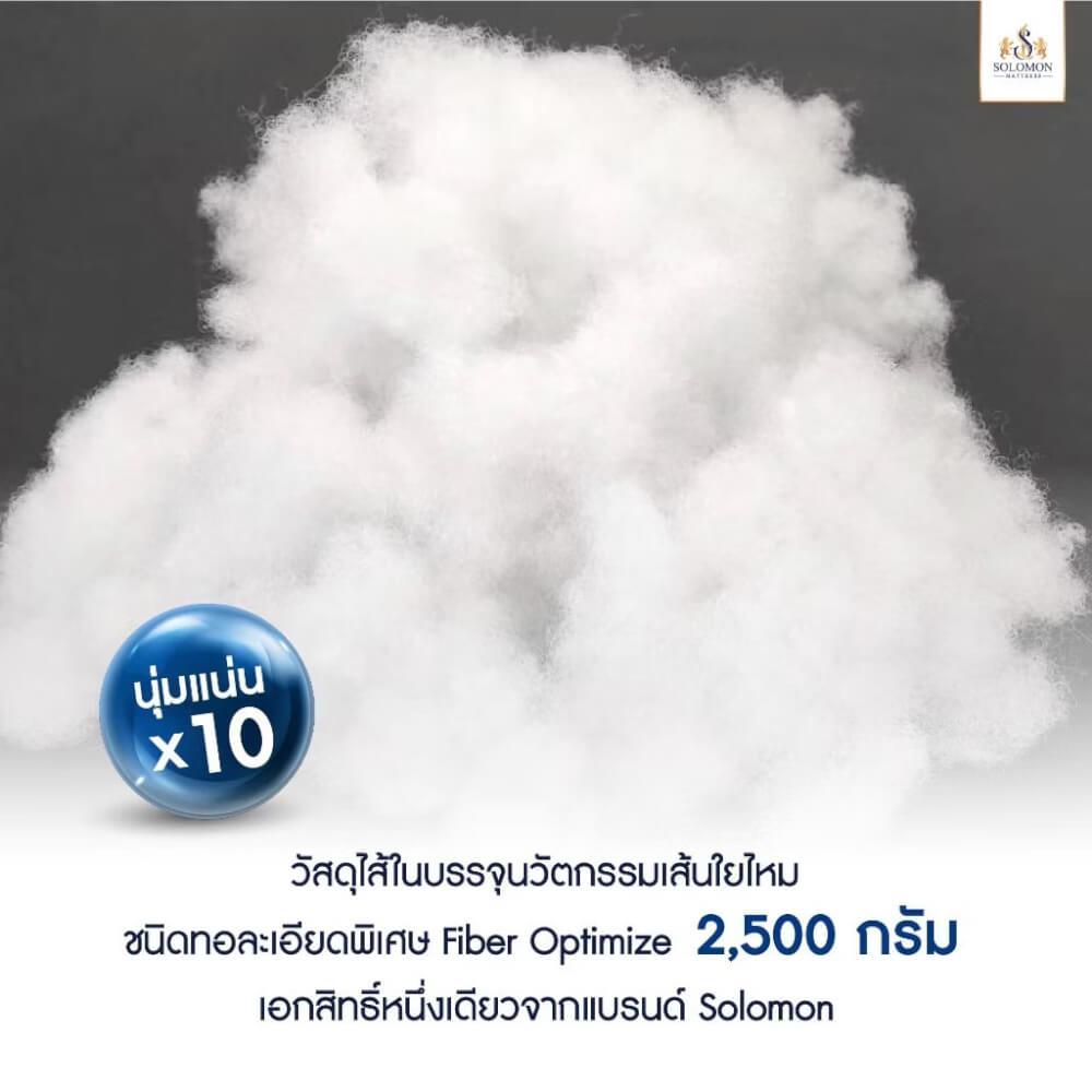 หมอน รุ่น Huggy SOLOMON_2