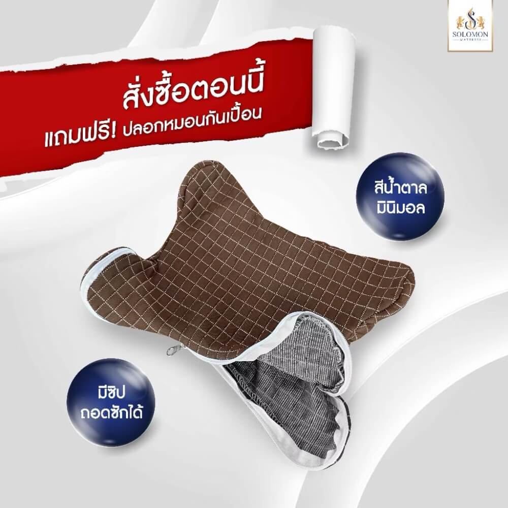 หมอนสุขภาพ SOLOMON รุ่น SNOOZE