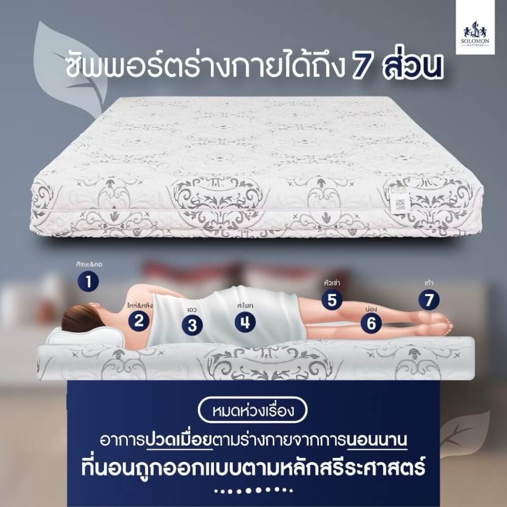 ที่นอนยางพารา 6 ฟุต SOLOMON รุ่น Seven Zone หนา 6 นิ้ว แถมหมอนหนุน 2 ใบ หมอนข้าง 1 ใบ