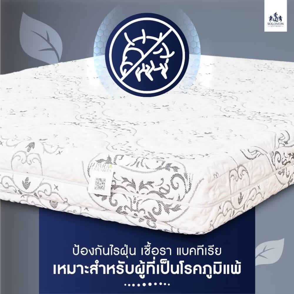 ที่นอนยางพารา 6 ฟุต SOLOMON รุ่น Seven Zone หนา 6 นิ้ว แถมหมอนหนุน 2 ใบ หมอนข้าง 1 ใบ