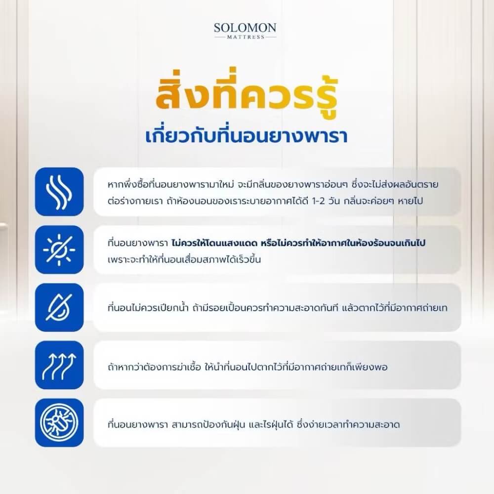 ที่นอนยางพารา 3.5 ฟุต SOLOMON รุ่น Sunshine หนา 6 นิ้ว 