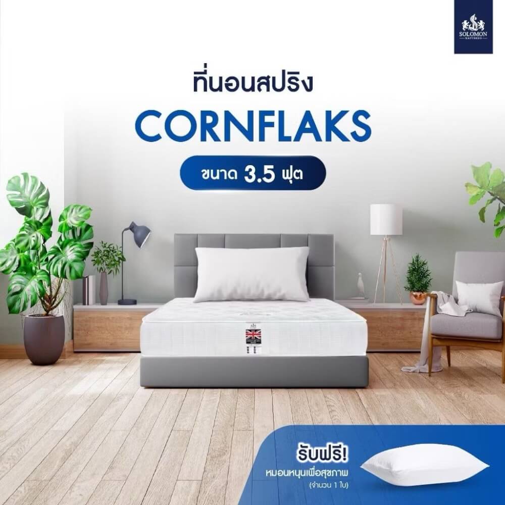 ที่นอน 3.5 ฟุต SOLOMON รุ่น Cornflaks หนา 9 นิ้ว  จัดส่งแบบอัดสูญญากาศ_6