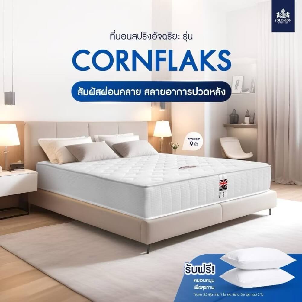 ที่นอน 6 ฟุต SOLOMON รุ่น Cornflaks หนา 9 นิ้ว 