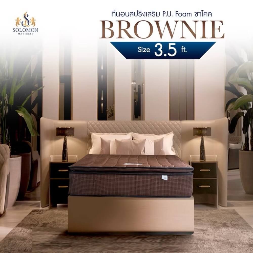 ที่นอน 3.5 ฟุต SOLOMON รุ่น Brownie หนา 10 นิ้ว 