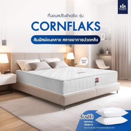 ที่นอน 6 ฟุต SOLOMON รุ่น Cornflaks หนา 9 นิ้ว _1