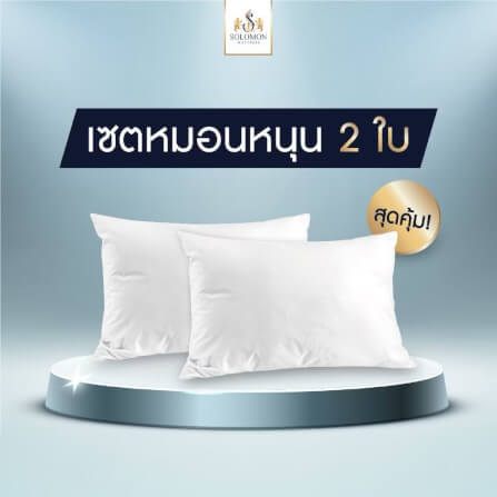 เซทหมอนหนุน 2 ใบ SOLOMON_1