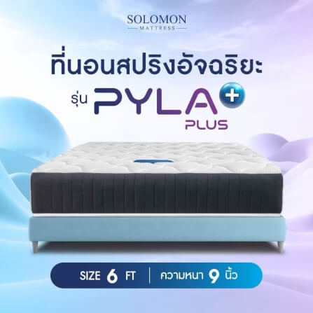 ที่นอน 6 ฟุต SOLOMON รุ่น PYLA PLUS หนา 9 นิ้ว _1