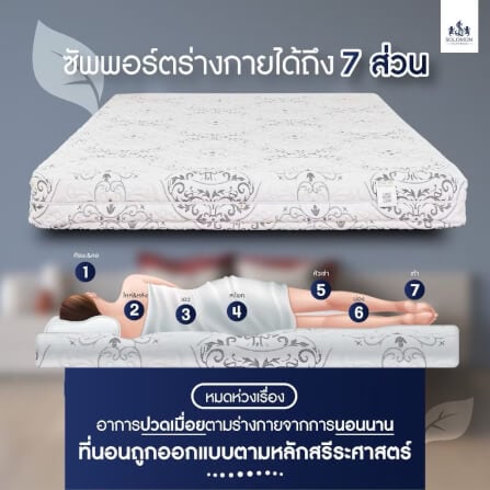 ที่นอนยางพารา 3.5 ฟุต SOLOMON รุ่น Seven Zone หนา 6 นิ้ว แถมหมอนหนุน 2 ใบ หมอนข้าง 1 ใบ_2