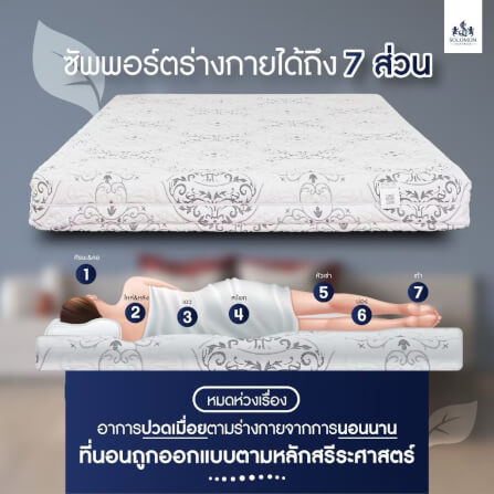 ที่นอนยางพารา 6 ฟุต SOLOMON รุ่น Seven Zone หนา 6 นิ้ว แถมหมอนหนุน 2 ใบ หมอนข้าง 1 ใบ_2