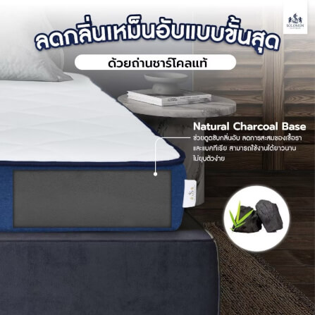 ที่นอน 5 ฟุต SOLOMON รุ่น Deep Sleep หนา 7 นิ้ว_2