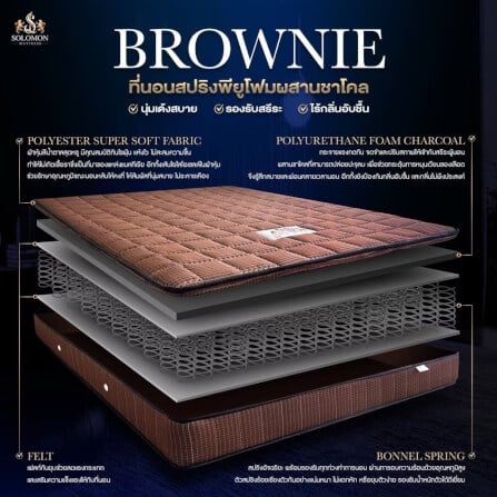 ที่นอน 3.5 ฟุต SOLOMON รุ่น Brownie หนา 10 นิ้ว _2