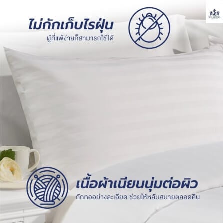 ชุดผ้าปูที่นอน 3.5 ฟุต เซท 3 ชิ้น SOLOMON สีขาว_3