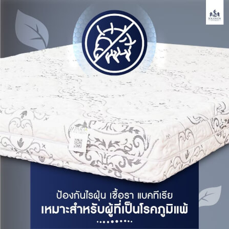 ที่นอนยางพารา 6 ฟุต SOLOMON รุ่น Seven Zone หนา 6 นิ้ว แถมหมอนหนุน 2 ใบ หมอนข้าง 1 ใบ_3