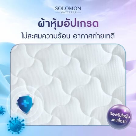 ที่นอน 3.5 ฟุต SOLOMON รุ่น PYLA PLUS หนา 9 นิ้ว _3