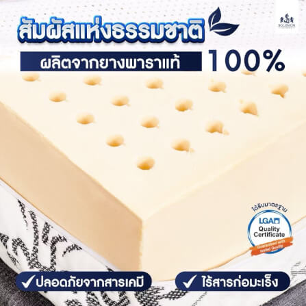 ที่นอนยางพารา 6 ฟุต SOLOMON รุ่น Seven Zone หนา 6 นิ้ว แถมหมอนหนุน 2 ใบ หมอนข้าง 1 ใบ_4