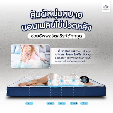 ที่นอน 6 ฟุต SOLOMON รุ่น Deep Sleep หนา 7 นิ้ว _4