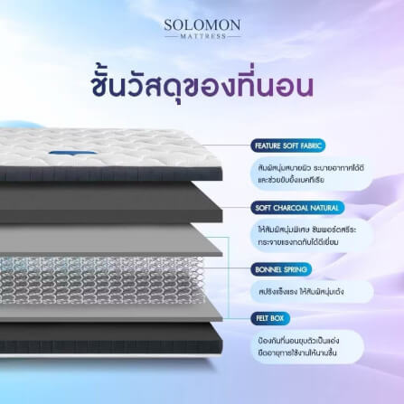 ที่นอน 3.5 ฟุต SOLOMON รุ่น PYLA PLUS หนา 9 นิ้ว _4