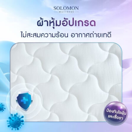 ที่นอน 6 ฟุต SOLOMON รุ่น PYLA PLUS หนา 9 นิ้ว _4