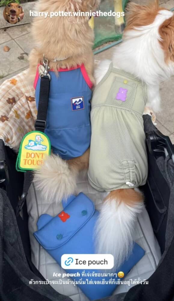 กระเป๋าเก็บความเย็นสำหรับสัตว์เลี้ยง PUPPY GALLERY Jelly Bear Ice Pouch สีชมพู