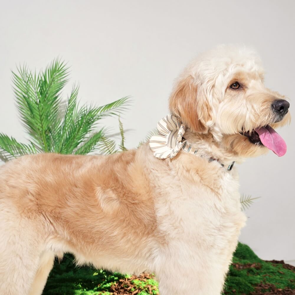 ของเล่นสัตว์เลี้ยง PUPPY GALLERY Stripe Daisy Toy สีครีม (มีเสียงเมื่อบีบ)