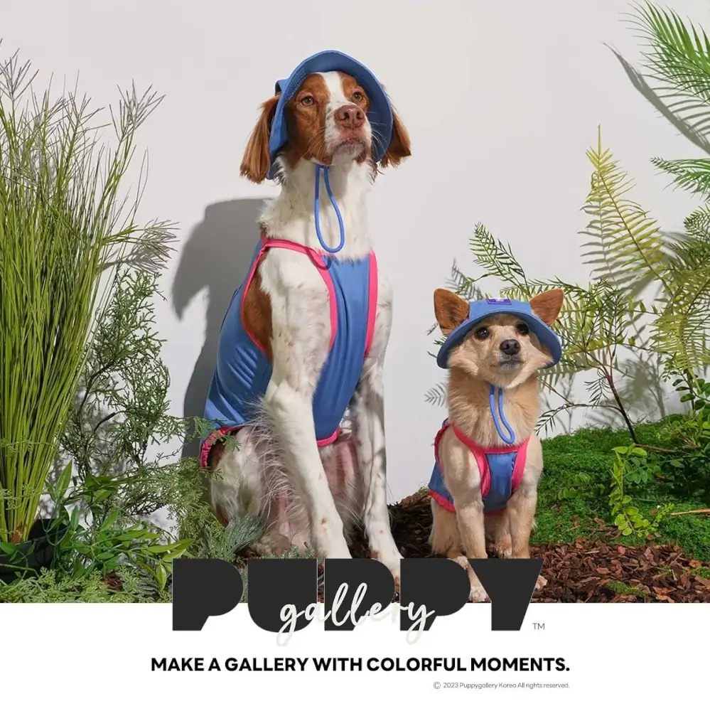 หมวกสัตว์เลี้ยง PUPPY GALLERY ไซซ์ S สีฟ้า มาพร้อม Cooling Pads