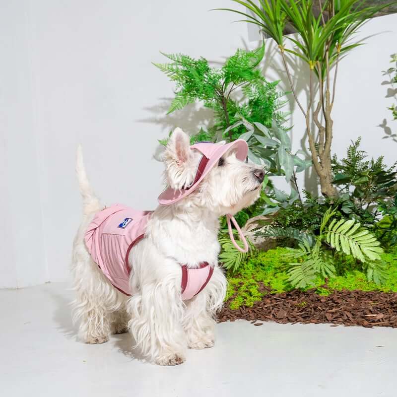 หมวกสัตว์เลี้ยง PUPPY GALLERY ไซซ์ M สีชมพู มาพร้อม Cooling Pads