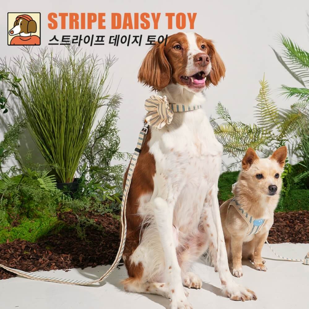 ของเล่นสัตว์เลี้ยง PUPPY GALLERY Stripe Daisy Toy สีครีม (มีเสียงเมื่อบีบ)