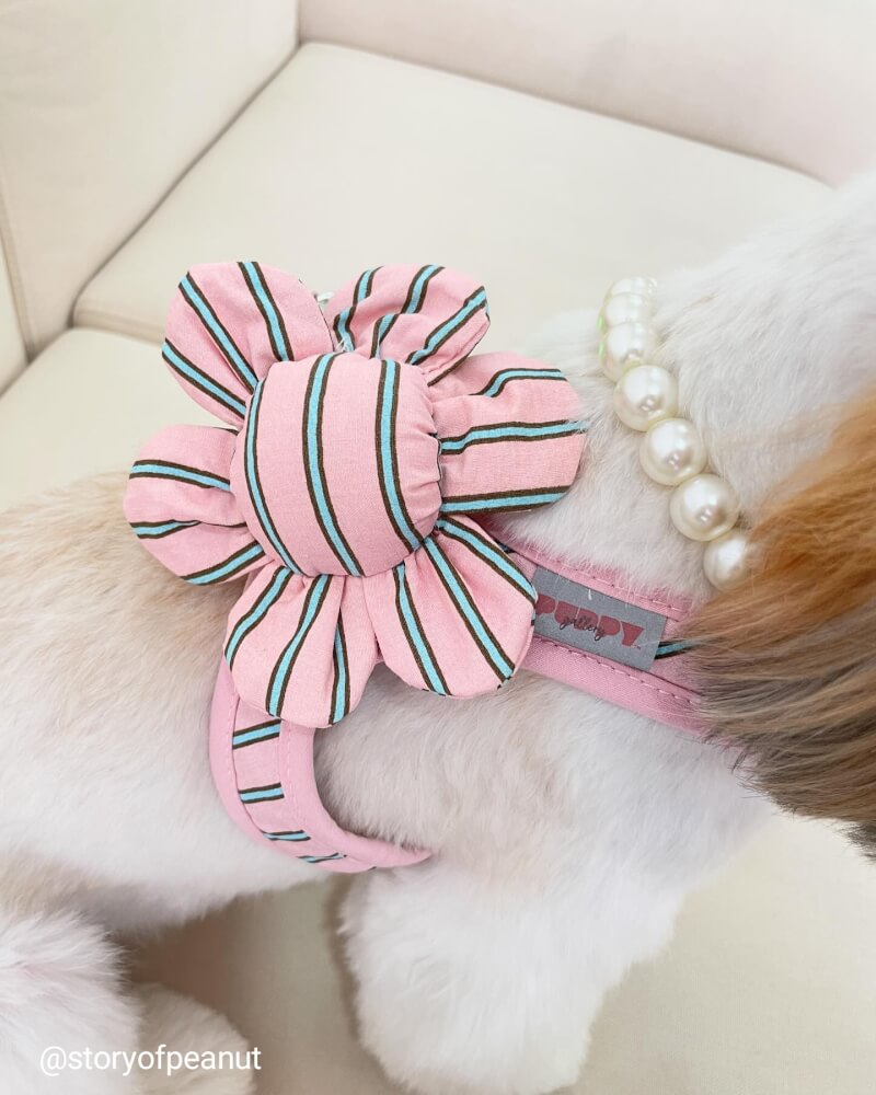 ของเล่นสัตว์เลี้ยง PUPPY GALLERY Stripe Daisy Toy สีชมพู (มีเสียงเมื่อบีบ)