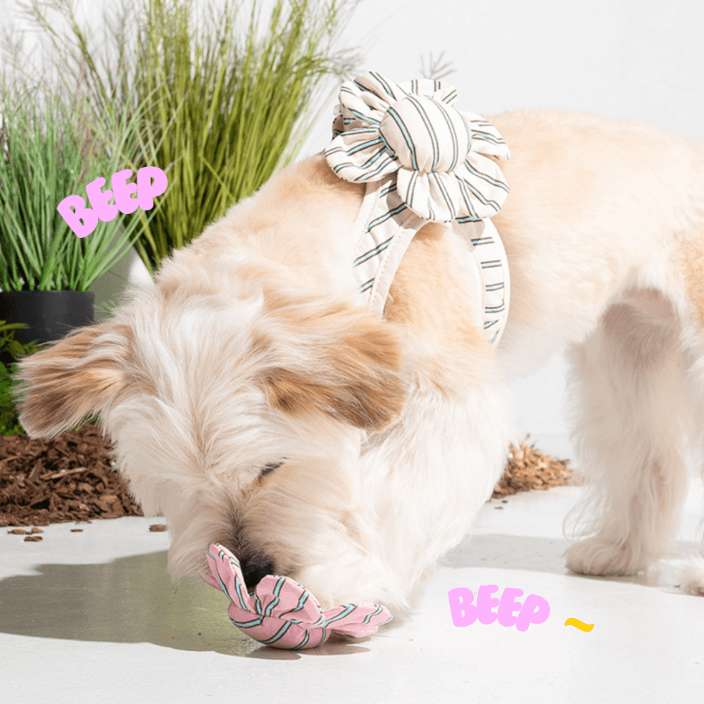 ของเล่นสัตว์เลี้ยง PUPPY GALLERY Stripe Daisy Toy สีครีม (มีเสียงเมื่อบีบ)