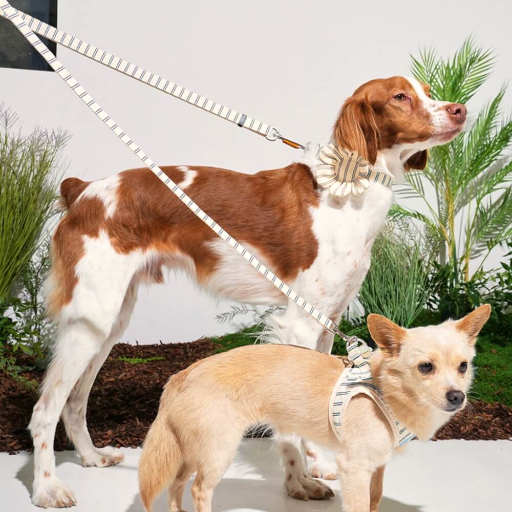 ของเล่นสัตว์เลี้ยง PUPPY GALLERY Stripe Daisy Toy สีครีม (มีเสียงเมื่อบีบ)