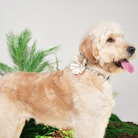 ของเล่นสัตว์เลี้ยง PUPPY GALLERY Stripe Daisy Toy สีครีม (มีเสียงเมื่อบีบ)_10