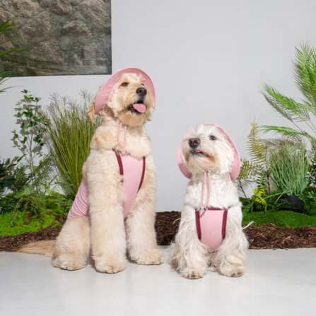 หมวกสัตว์เลี้ยง PUPPY GALLERY ไซซ์ M สีชมพู มาพร้อม Cooling Pads_3