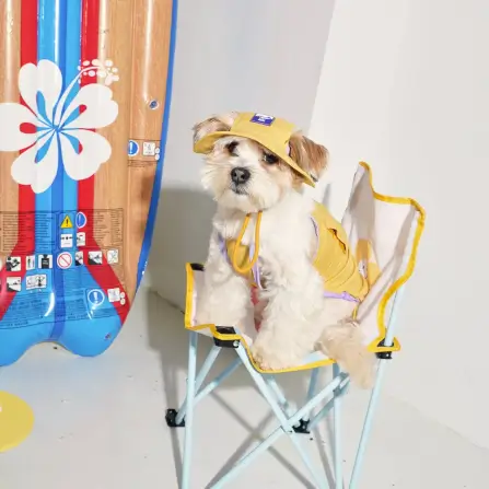หมวกสัตว์เลี้ยง PUPPY GALLERY ไซซ์ 2XL สีเหลือง มาพร้อม Cooling Pads_3