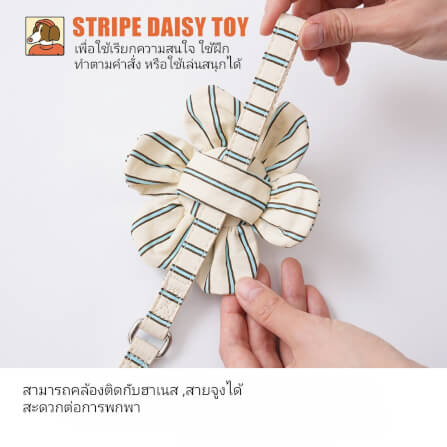 ของเล่นสัตว์เลี้ยง PUPPY GALLERY Stripe Daisy Toy สีครีม (มีเสียงเมื่อบีบ)_4