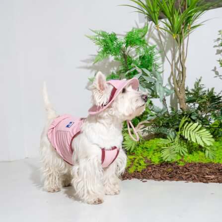 หมวกสัตว์เลี้ยง PUPPY GALLERY ไซซ์ M สีชมพู มาพร้อม Cooling Pads_4
