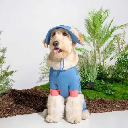 หมวกสัตว์เลี้ยง PUPPY GALLERY ไซซ์ S สีฟ้า มาพร้อม Cooling Pads_4