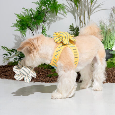 ของเล่นสัตว์เลี้ยง PUPPY GALLERY Stripe Daisy Toy สีเหลือง (มีเสียงเมื่อบีบ)_5