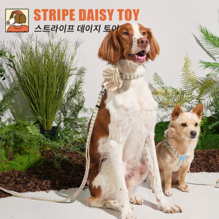 ของเล่นสัตว์เลี้ยง PUPPY GALLERY Stripe Daisy Toy สีครีม (มีเสียงเมื่อบีบ)_5