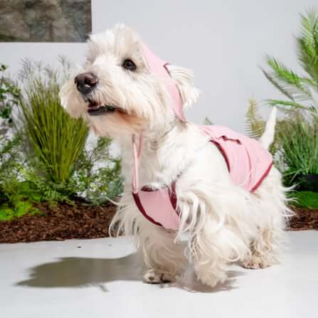 หมวกสัตว์เลี้ยง PUPPY GALLERY ไซซ์ M สีชมพู มาพร้อม Cooling Pads_5