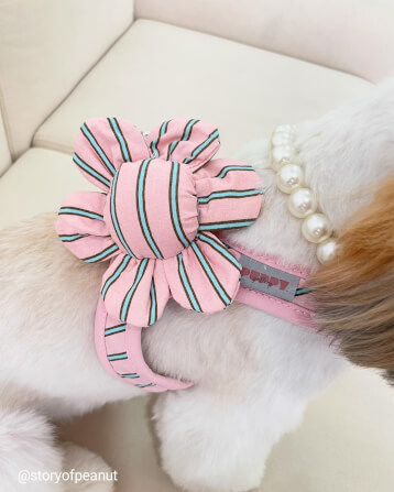 ของเล่นสัตว์เลี้ยง PUPPY GALLERY Stripe Daisy Toy สีชมพู (มีเสียงเมื่อบีบ)_6