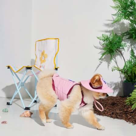 หมวกสัตว์เลี้ยง PUPPY GALLERY ไซซ์ M สีชมพู มาพร้อม Cooling Pads_6