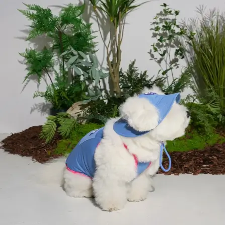 หมวกสัตว์เลี้ยง PUPPY GALLERY ไซซ์ S สีฟ้า มาพร้อม Cooling Pads_6