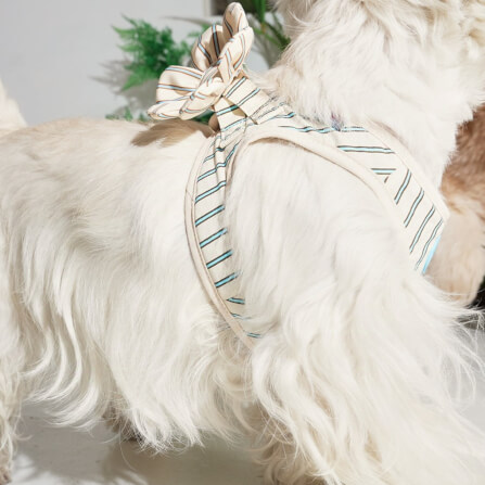 ของเล่นสัตว์เลี้ยง PUPPY GALLERY Stripe Daisy Toy สีครีม (มีเสียงเมื่อบีบ)_9